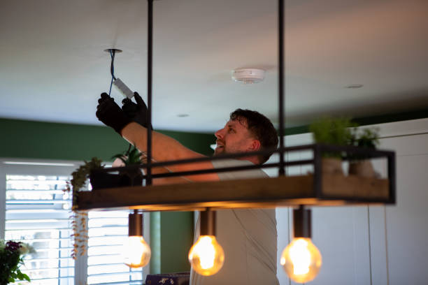 Best Electrical System Inspection  in Washoe Valley, NV