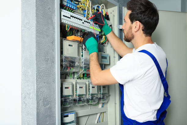 Best Affordable Electrician  in Washoe Valley, NV