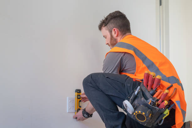 Best Ceiling Fan Installation Electrician  in Washoe Valley, NV